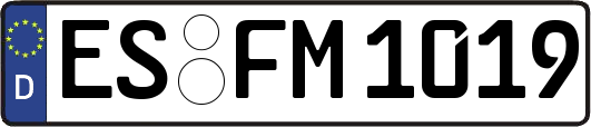 ES-FM1019