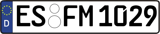 ES-FM1029