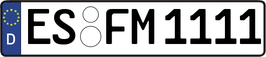 ES-FM1111