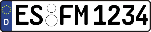 ES-FM1234