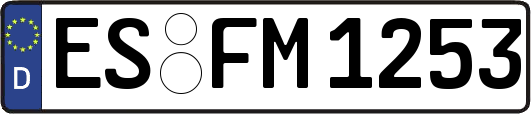 ES-FM1253