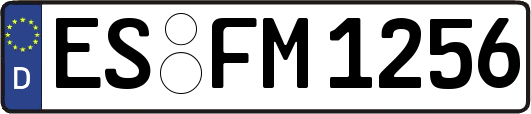 ES-FM1256