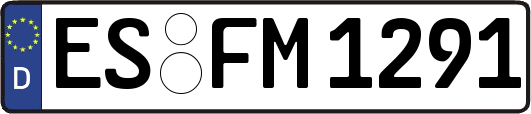 ES-FM1291