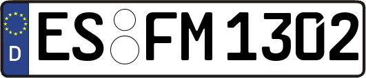 ES-FM1302