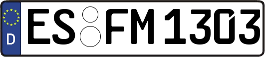 ES-FM1303