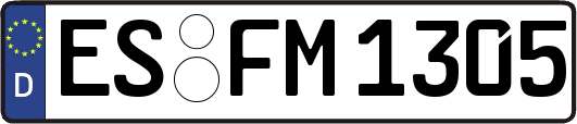 ES-FM1305