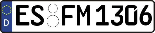 ES-FM1306