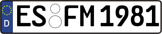 ES-FM1981
