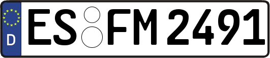 ES-FM2491