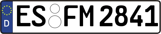 ES-FM2841