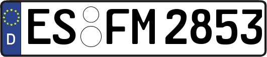 ES-FM2853