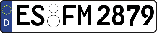 ES-FM2879