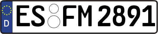 ES-FM2891