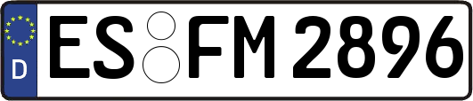 ES-FM2896