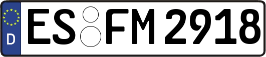 ES-FM2918