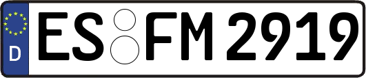 ES-FM2919