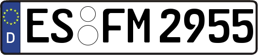 ES-FM2955