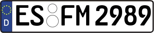ES-FM2989