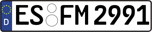 ES-FM2991