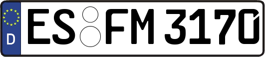 ES-FM3170