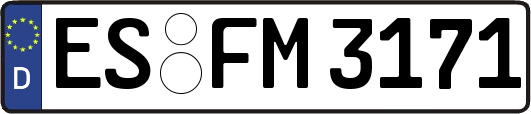 ES-FM3171
