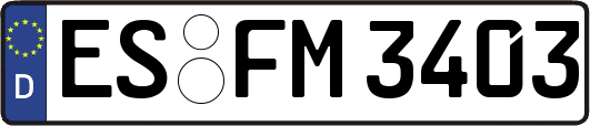ES-FM3403