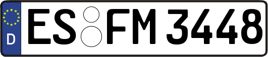 ES-FM3448