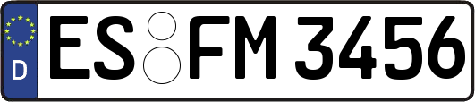 ES-FM3456