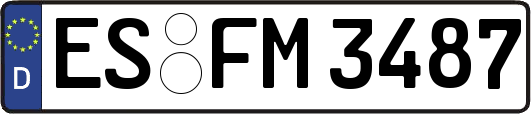 ES-FM3487