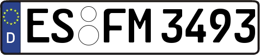 ES-FM3493