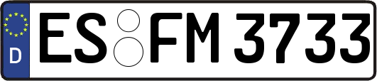 ES-FM3733