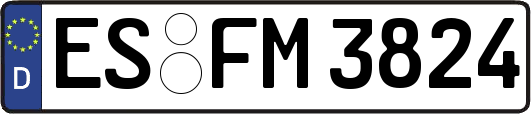 ES-FM3824
