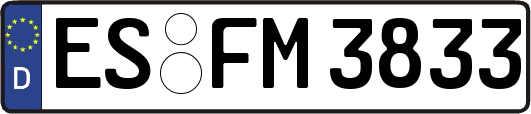 ES-FM3833