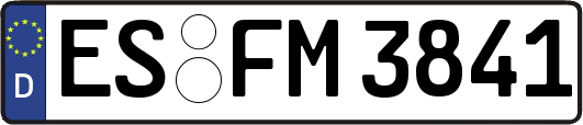 ES-FM3841