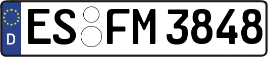 ES-FM3848
