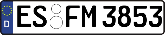 ES-FM3853