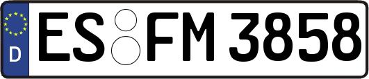 ES-FM3858