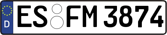 ES-FM3874