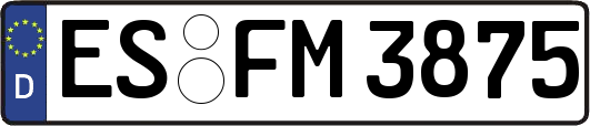 ES-FM3875