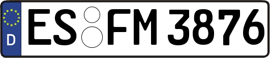 ES-FM3876