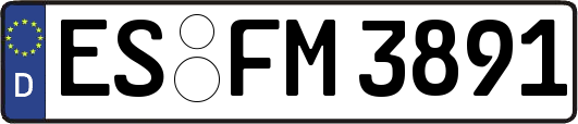 ES-FM3891