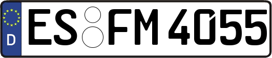 ES-FM4055