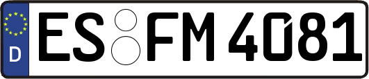 ES-FM4081