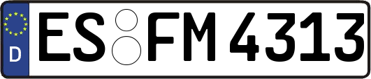ES-FM4313