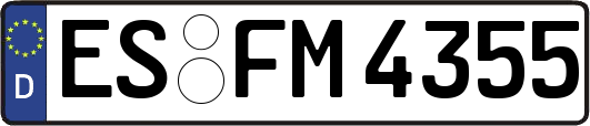 ES-FM4355