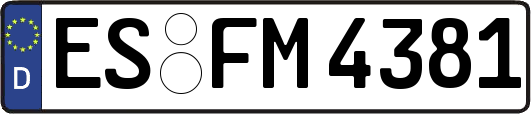 ES-FM4381