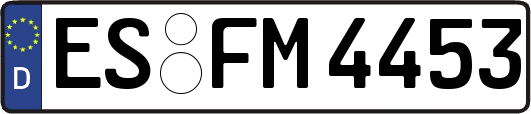 ES-FM4453