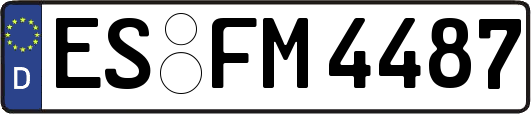 ES-FM4487