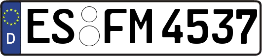 ES-FM4537