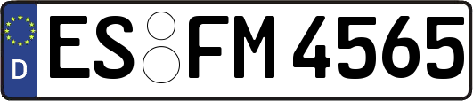 ES-FM4565